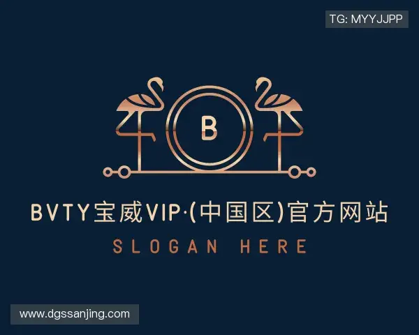 关于bvty宝威